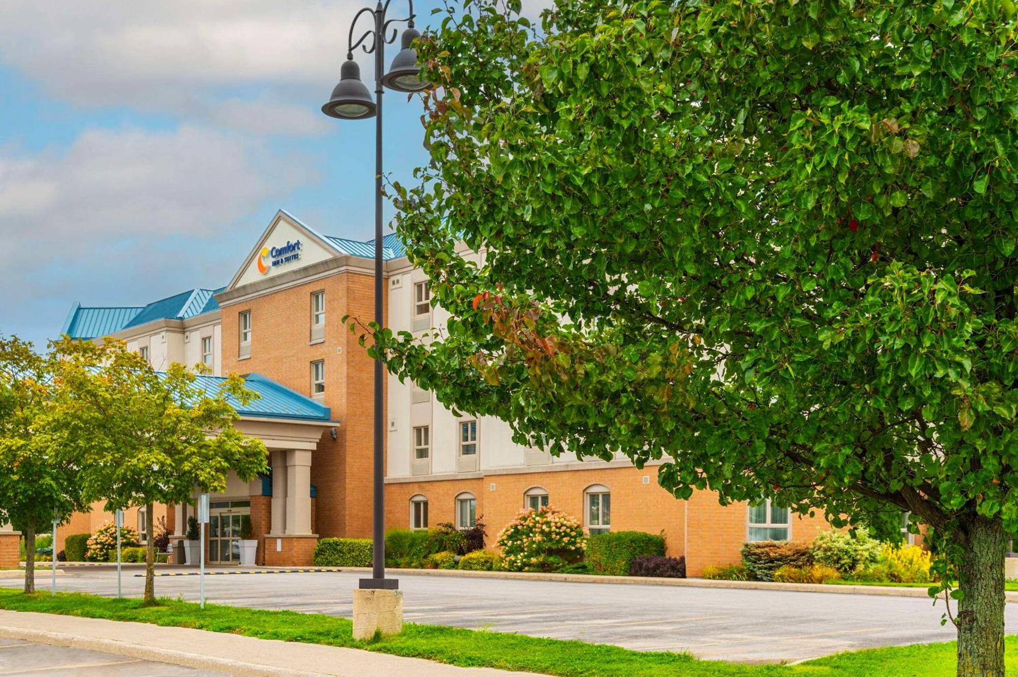 Comfort Inn & Suites Кинкардин Екстериор снимка